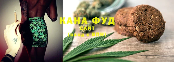 СК Новодвинск