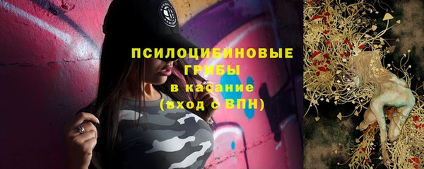 шишки Баксан