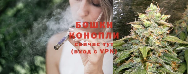 шишки Баксан