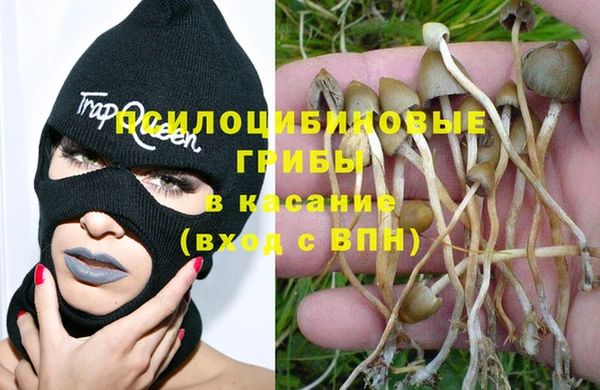 шишки Баксан