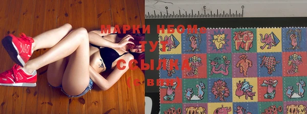 шишки Баксан