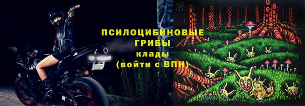 apvp Балахна