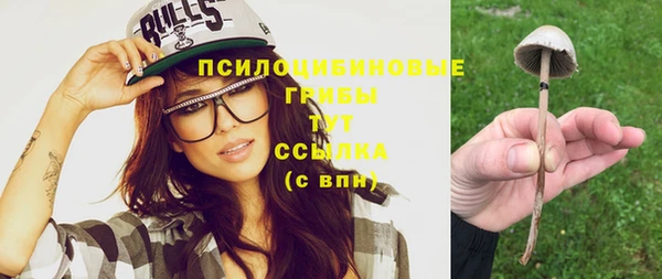 apvp Балахна